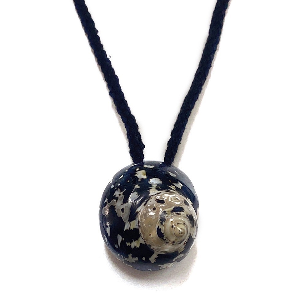 Island Reef Shell Necklace
